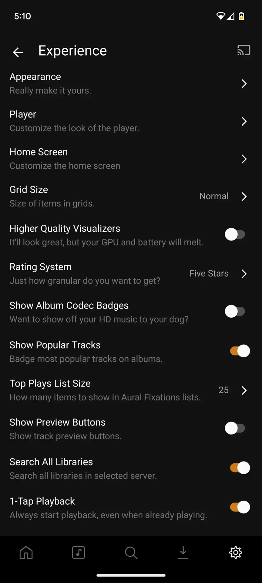 plexamp-settings-experience